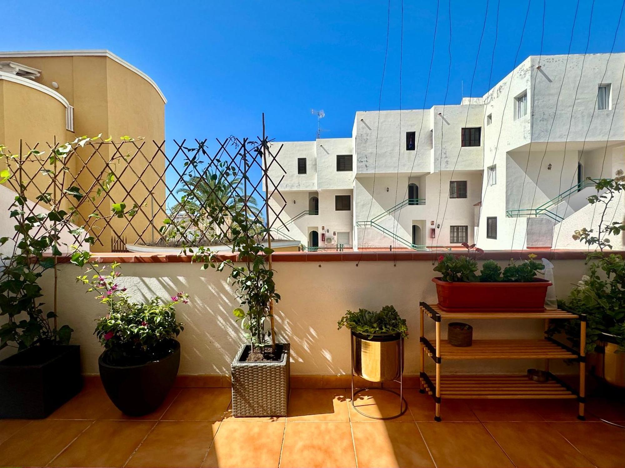 Apartment In Ocean Park Ii, Costa Adeje, Tenerife Εξωτερικό φωτογραφία